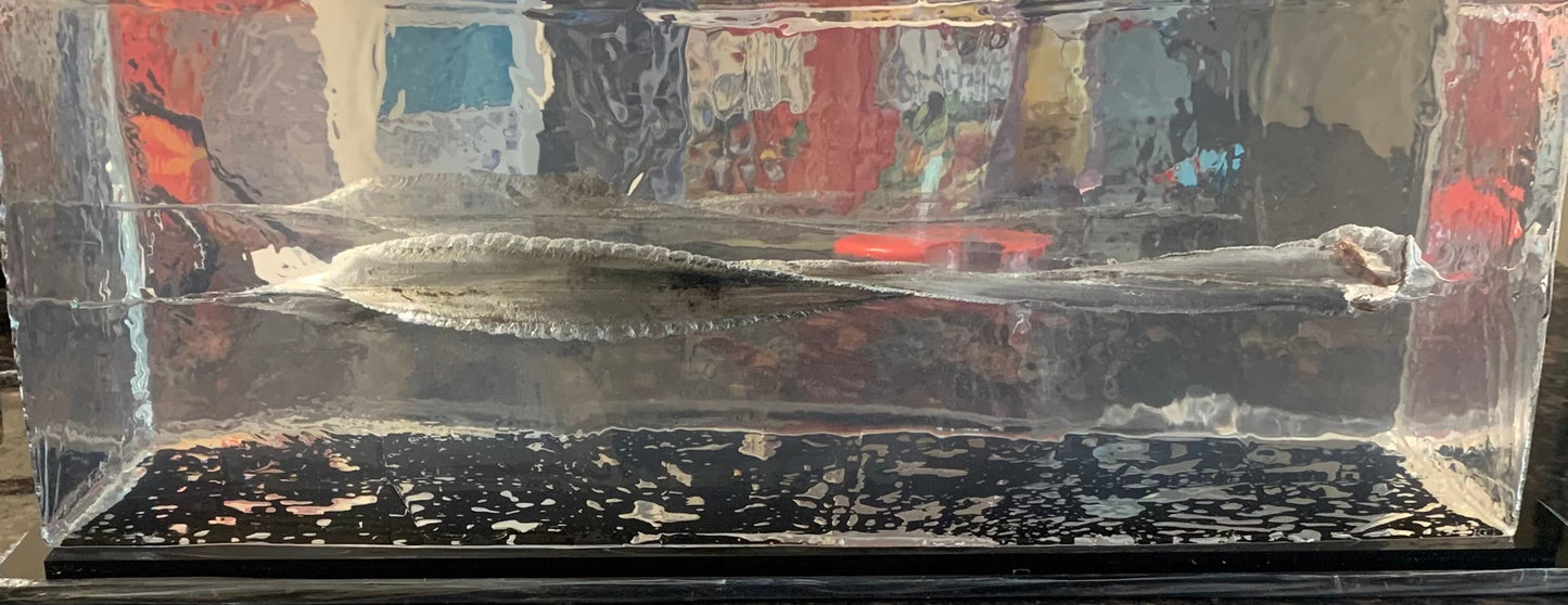 300 Blackout Ammo - 200 Grain Solid Copper Rex (subsonic)